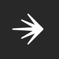 LaunchDarkly icon